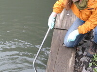 Science+Art+Design Workshop: Water Quality Testing