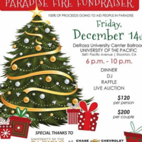 Christmas in Paradise - Paradise Fundraiser