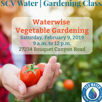 SCV Water Gardening Class: WaterWise Vegetable