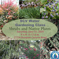 SCV Water Gardening Class: Shrubs and Native Plants
