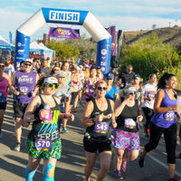Sugar Daddy 5K, 10K, & Half Marathon