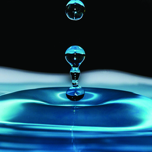 World Water Day: Panel Discussion