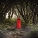 Into the Woods: A musical by Stephen Sondheim