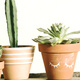 Fri-YAY Nights: Plant Party
