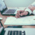 Internship/Job Search Strategies