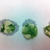 Applied Photosynthesis: Putting Nature to Work