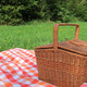 German Picnic