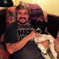 Roundtable: Dogs, Sustainability, and Health