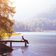 Mindfulness & Stress Management Series