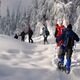 Snowshoeing