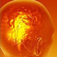 25th Annual Kentucky Spinal Cord and Head Injury Research Trust Symposium