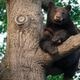 Meet Other Nature Buffs at CU Wildlife Club Inaugural Meeting
