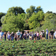Walking Tour of the UC Santa Cruz Farm