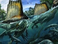 National Geographic Live: Spinosaurus - Lost Giant of the Cretaceous