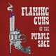 Auditions: Flaming Guns of the Purple Sage