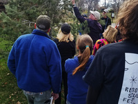 Winter Tree Identification Presentation & Walk