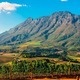 Information Session: Global Studies in South Africa