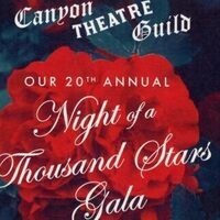 Night of a Thousand Stars Gala
