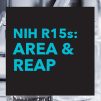 Recent updates to the R15 AREA and new R15 REAP programs (NIH Brownbag Series)