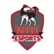 NIU Naperville Esports Cafe Grand Opening