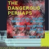 The MFA Welcome Exhibition: The Dangerous Perhaps