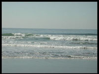 Coastal Dynamics: Setting Up the Surfzone Coastal Dynamics: Setting Up the Surfzone