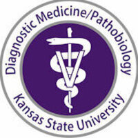 DMP Seminar: Dan U. Thomson