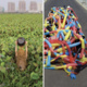 Urgent Elements: Eco-Video from Southeast Asia