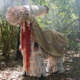 Urgent Elements: Eco-Video from Southeast Asia