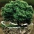 Earth and Environment 2019 Graduate Research Symposium