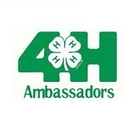 4-H Ambassador Training
