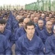 Center for Asian Studies Roundtable on Xinjiang: Perspectives from the Field on China’s Mass Incarceration of Turkic Muslims
