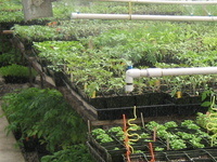 Cultivator Pesticide Safety Education Workshop