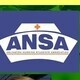 Arlington Nursing Students' Association