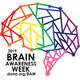 Brain Awareness Week Free Lecture: Inflammation and Stress and the Brain