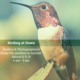 Birding at Dawn at UC Santa Cruz Arboretum & Botanic Garden