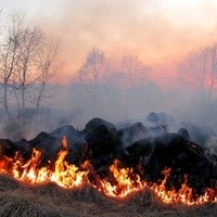 Prescribed Burning Workshop