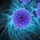 Stem Cell Research at UCSC - Lab tour with short presentations