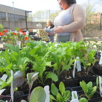 Belknap Farmers Market: Earth Week Market