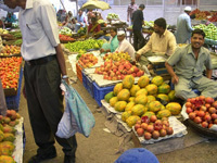 Urbanization, Property Rights and Entrepreneurship Urbanization, Property Rights and Entrepreneurship