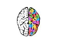 What is Neurodiversity ?