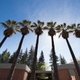 Health School Open Forum: Sacramento Campus