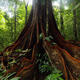 Global Environmental Journalism: Under Siege or Dawning Anew?
