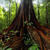 Global Environmental Journalism: Under Siege or Dawning Anew?