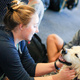 Bark Buddies at Norlin Library