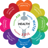 Sustainability Roundtable: CLB Envirome Institute: Addressing the impact of the environment on human health