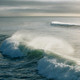 UC Santa Cruz Alumni Excursion: The Effects of Climate Change on Marine Life