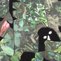 Opening Reception for Foliaform