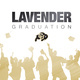 Lavender Graduation