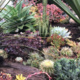 Home Garden Tour